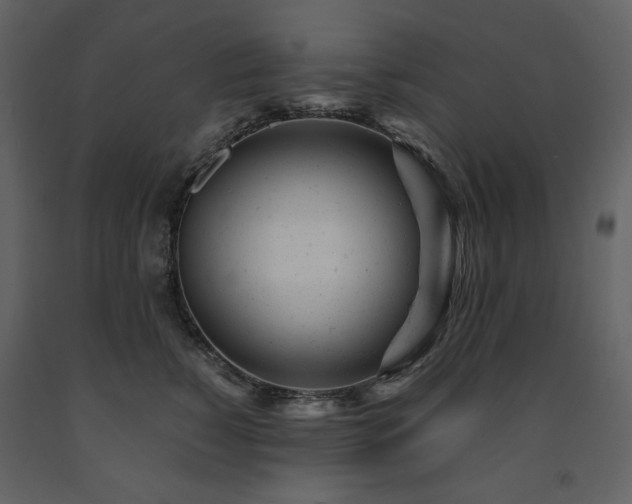 X0000091660760200708231306