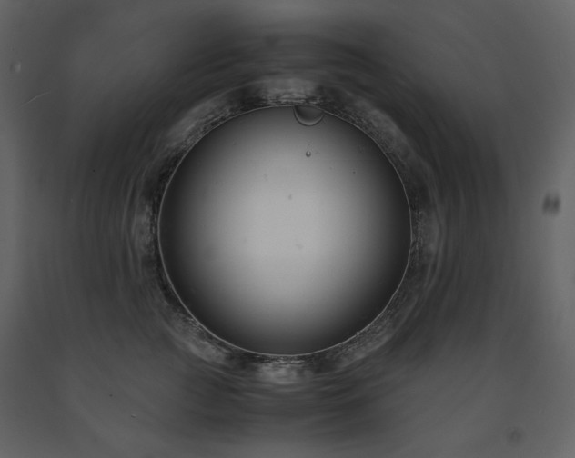 X0000091660761200708231306