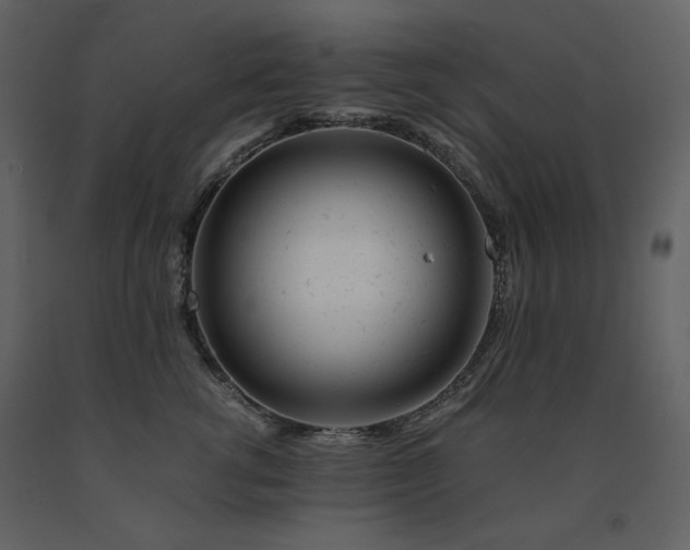 X0000091660762200708231306