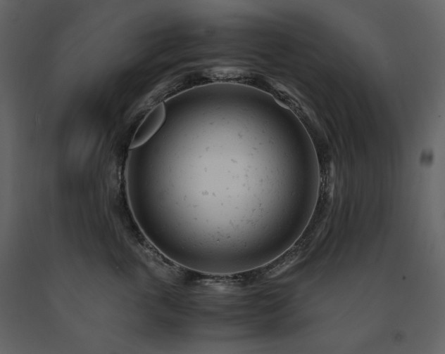X0000091660763200708231306
