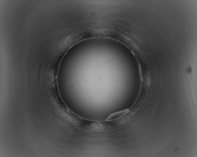 X0000091660764200708231306