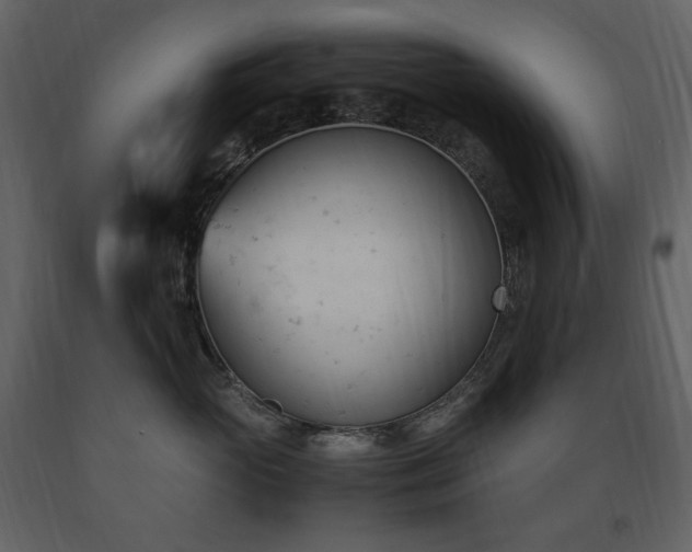 X0000091660765200708231306