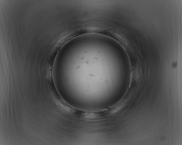 X0000091660766200708231306