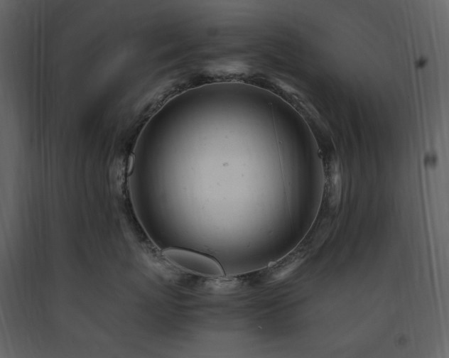 X0000091660767200708231306