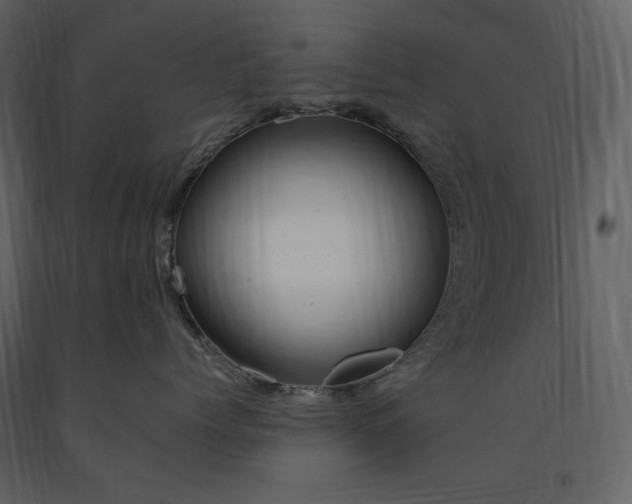 X0000091660768200708231306