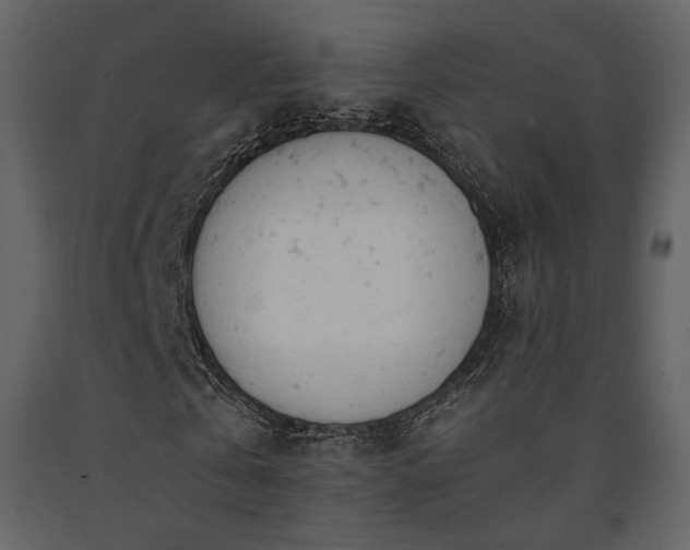 X0000091660769200708231305