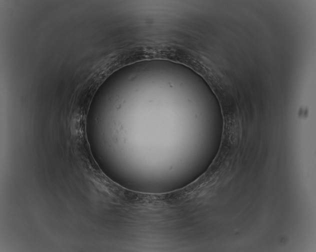 X0000091660770200708231305
