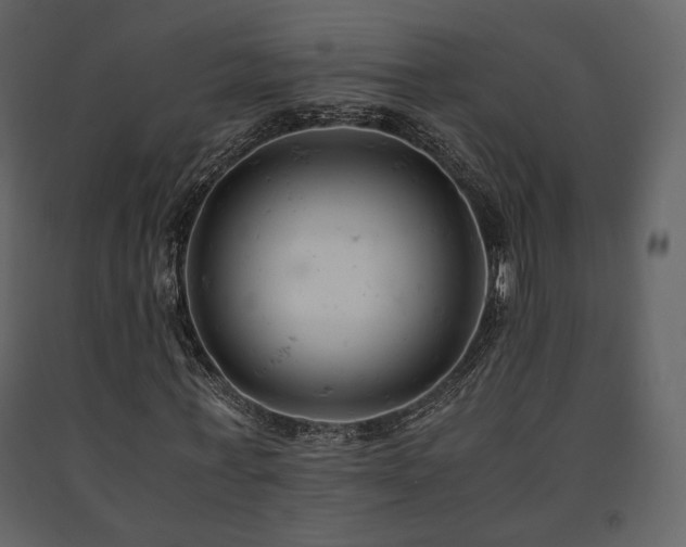 X0000091660771200708231305