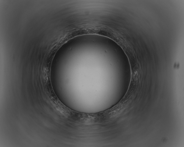 X0000091660772200708231305