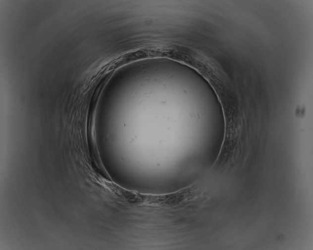 X0000091660773200708231305