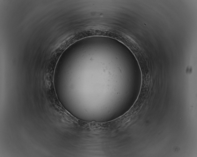X0000091660774200708231305