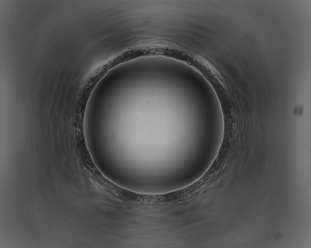 X0000091660775200708231305