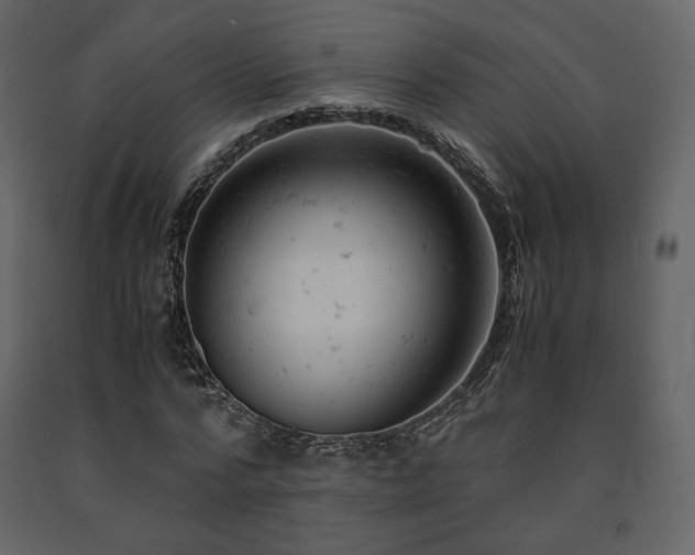 X0000091660776200708231305