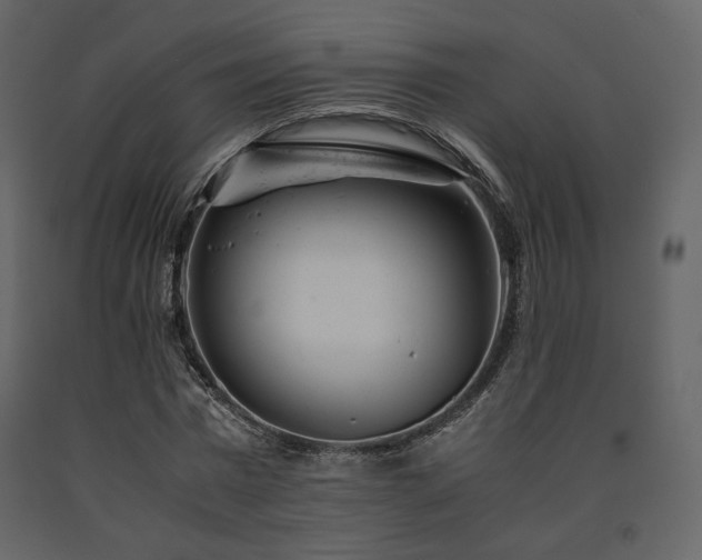 X0000091660777200708231305