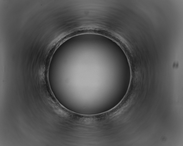 X0000091660778200708231305