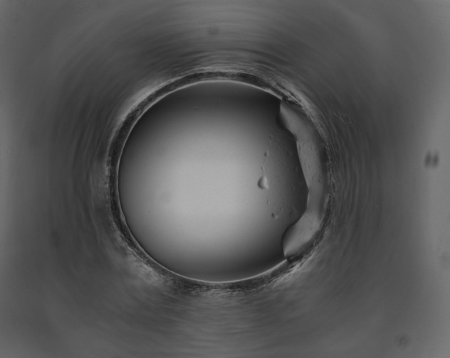 X0000091660779200708231305