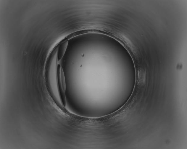X0000091660780200708231305