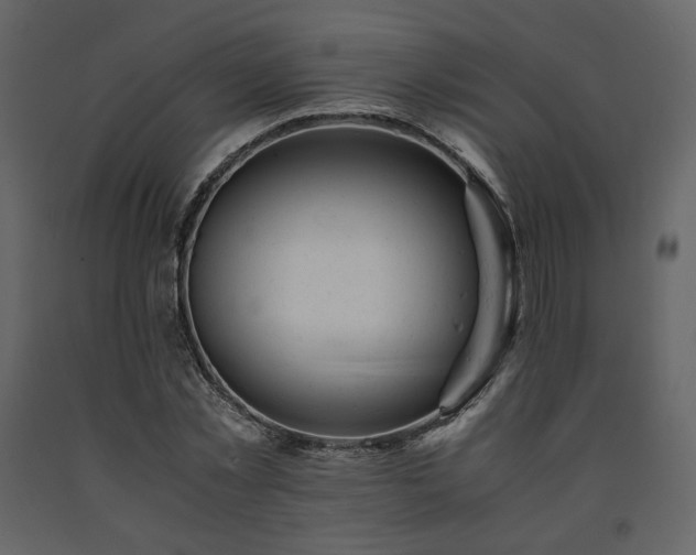 X0000091660781200708231305