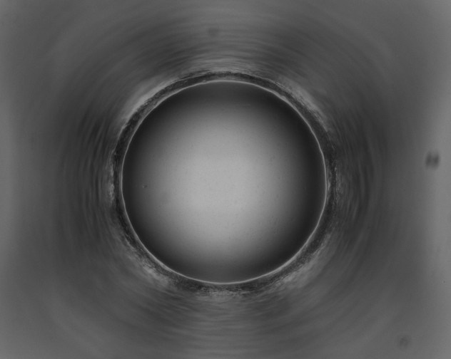 X0000091660782200708231305