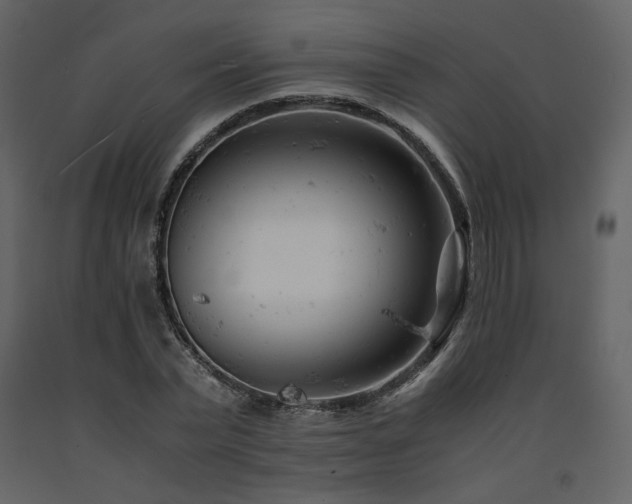 X0000091660783200708231305