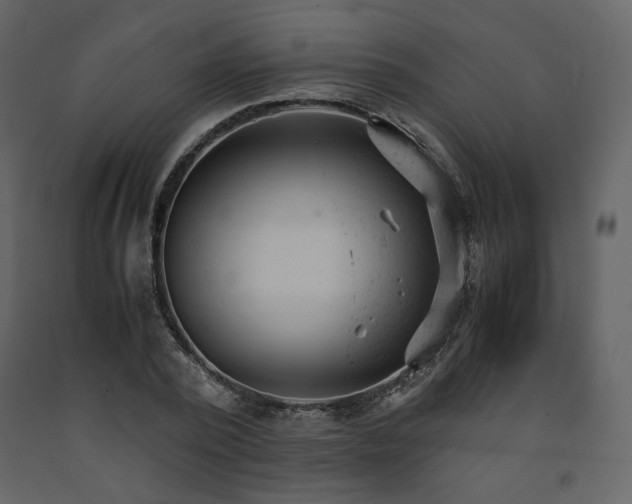 X0000091660784200708231305