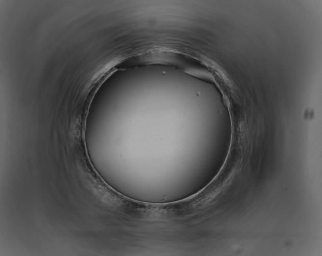 X0000091660785200708231305