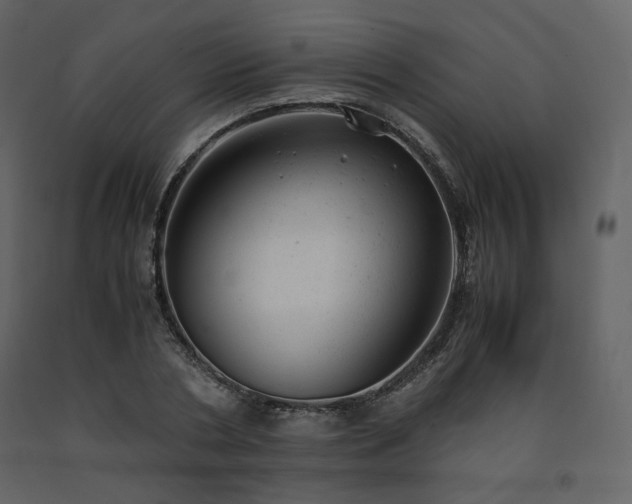 X0000091660786200708231305