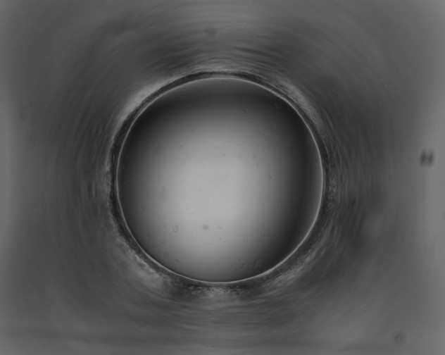 X0000091660787200708231305