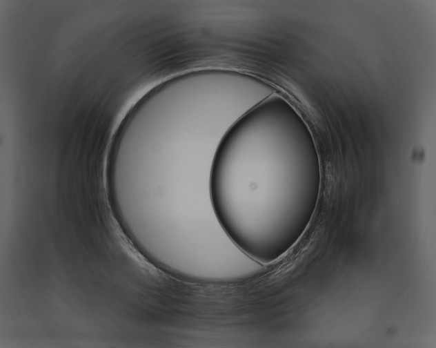 X0000091660788200708231305
