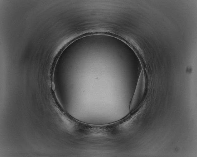 X0000091660789200708231305