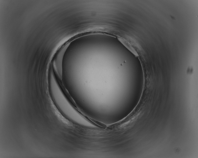 X0000091660792200708231305