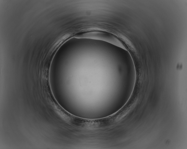 X0000091660793200708231305