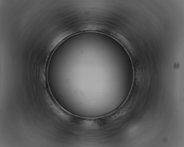 X0000091660794200708231305