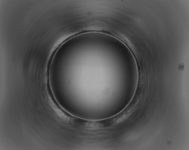 X0000091660795200708231305