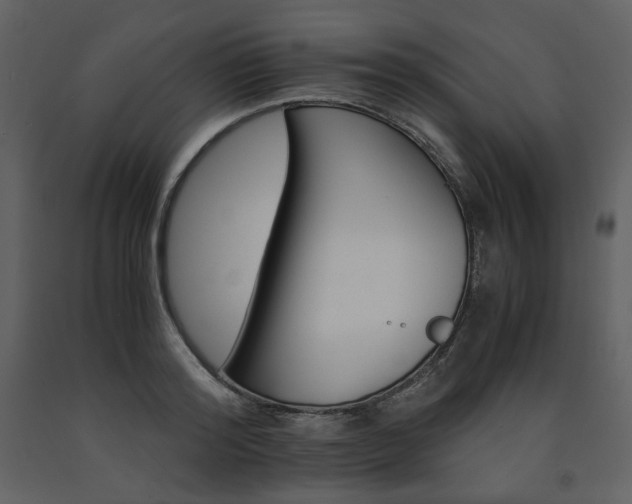 X0000091660796200708231305