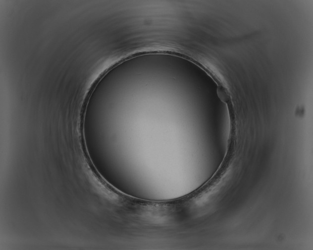 X0000091660797200708231305