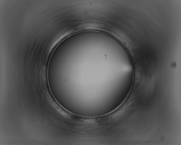 X0000091660798200708231305