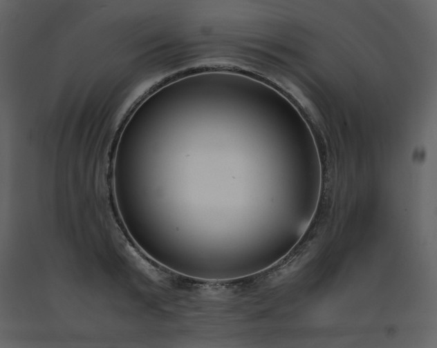 X0000091660799200708231305