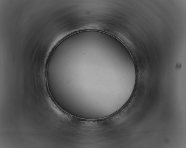 X0000091660800200708231305
