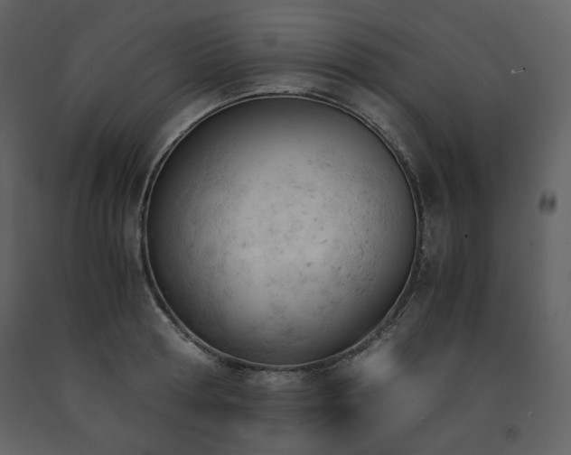X0000091660802200708231305