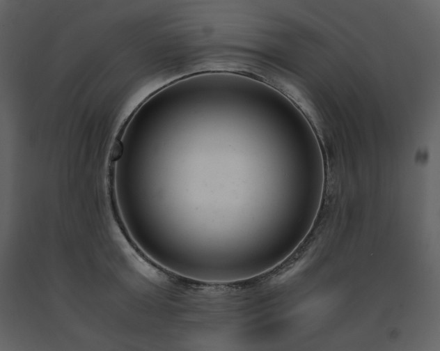 X0000091660803200708231305