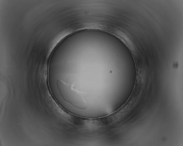 X0000091660804200708231305