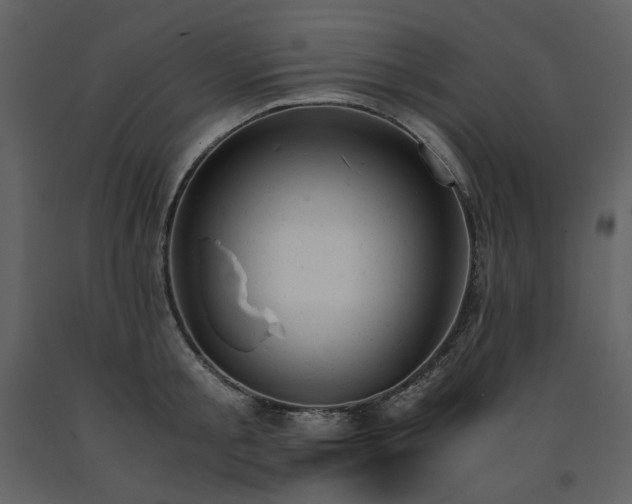 X0000091660805200708231305