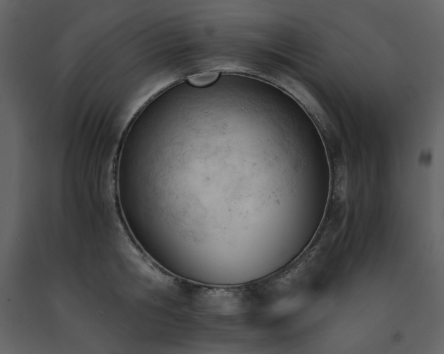 X0000091660806200708231305