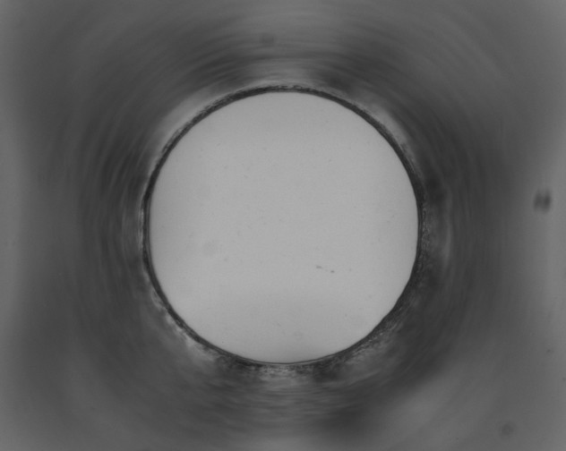 X0000091660807200708231305