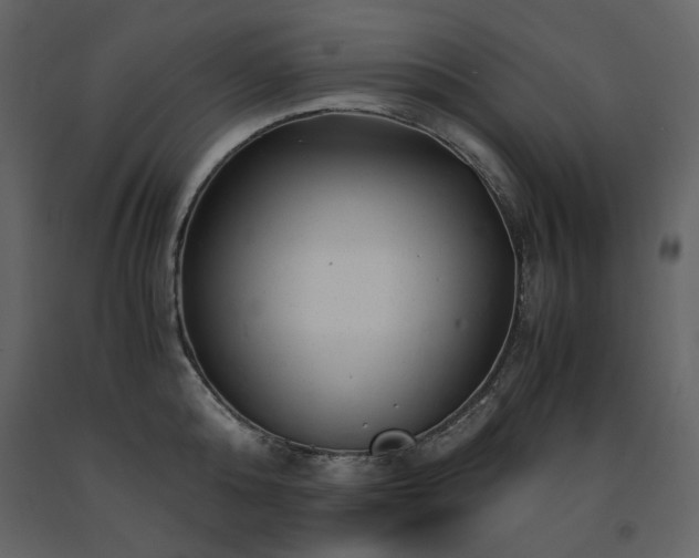 X0000091660808200708231305