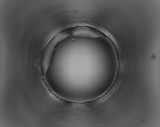 X0000091660809200708231304