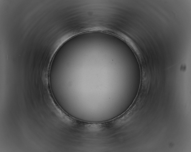 X0000091660810200708231304