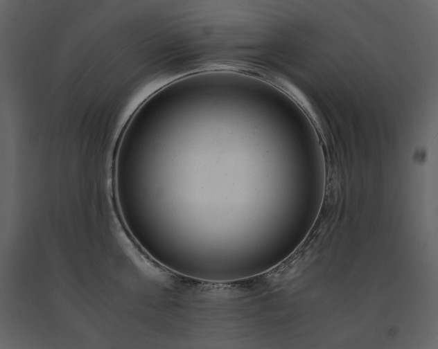 X0000091660811200708231304