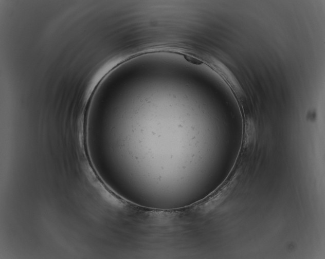X0000091660812200708231304